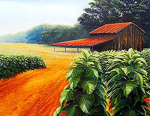 August Tobacco Barn | acrylic/ canvas, 22x28inches