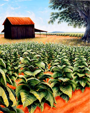 Tobacco Rows | acrylic/ canvas, 30x40inches