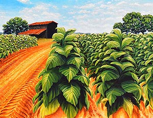 Tobacco Road | acrylic/ canvas, 30x22inches