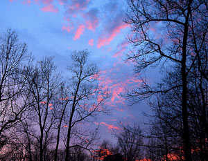 Winter Sky Purple and Pink